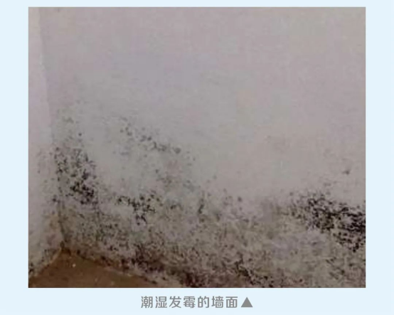 iSlot官方网站 - 引领潮水